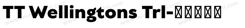 TT Wellingtons Trl字体转换
